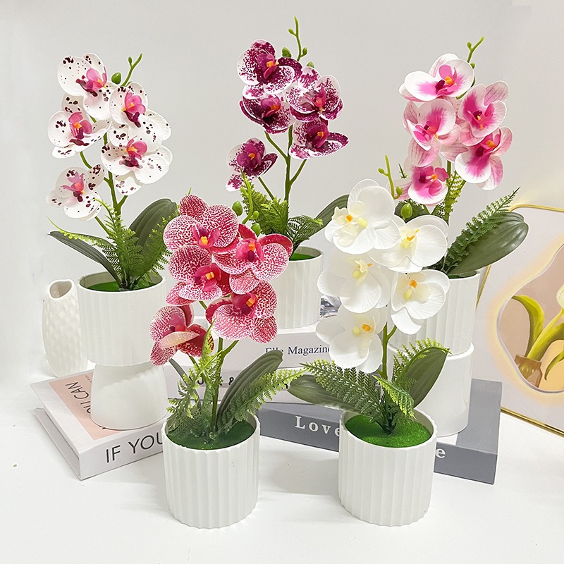 Orchid Potting Mix - Vertical bar pot with 5 butterfly