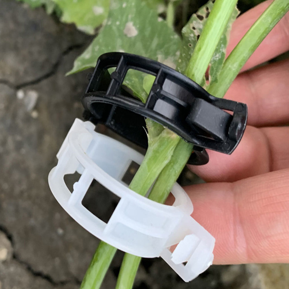 Plant Support Stake - 200Pcs Tomato Stem Support Clips PP