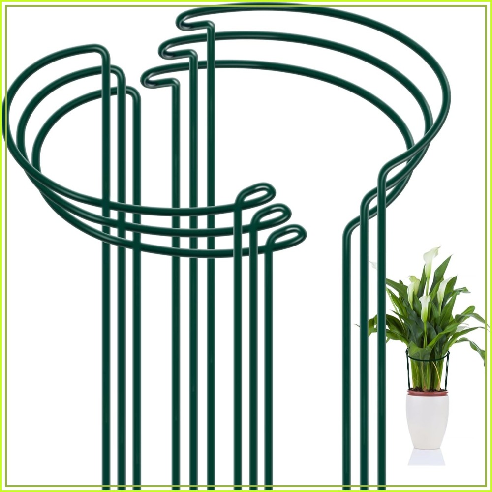 Plant Support Stake - 6 Pack Half Round Plant Support