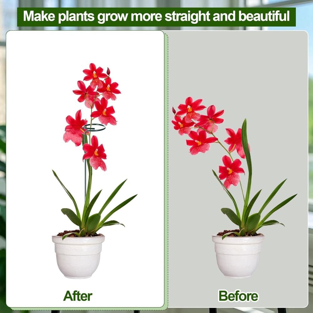 6 Sets Plant Stakes 12/25/36 I - Plant Support Stake reseña y precio