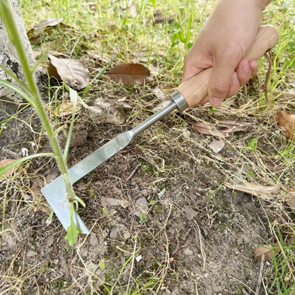 Stainless Steel Gap Weeding To - Gardening Hand Tools Yard reseña y precio
