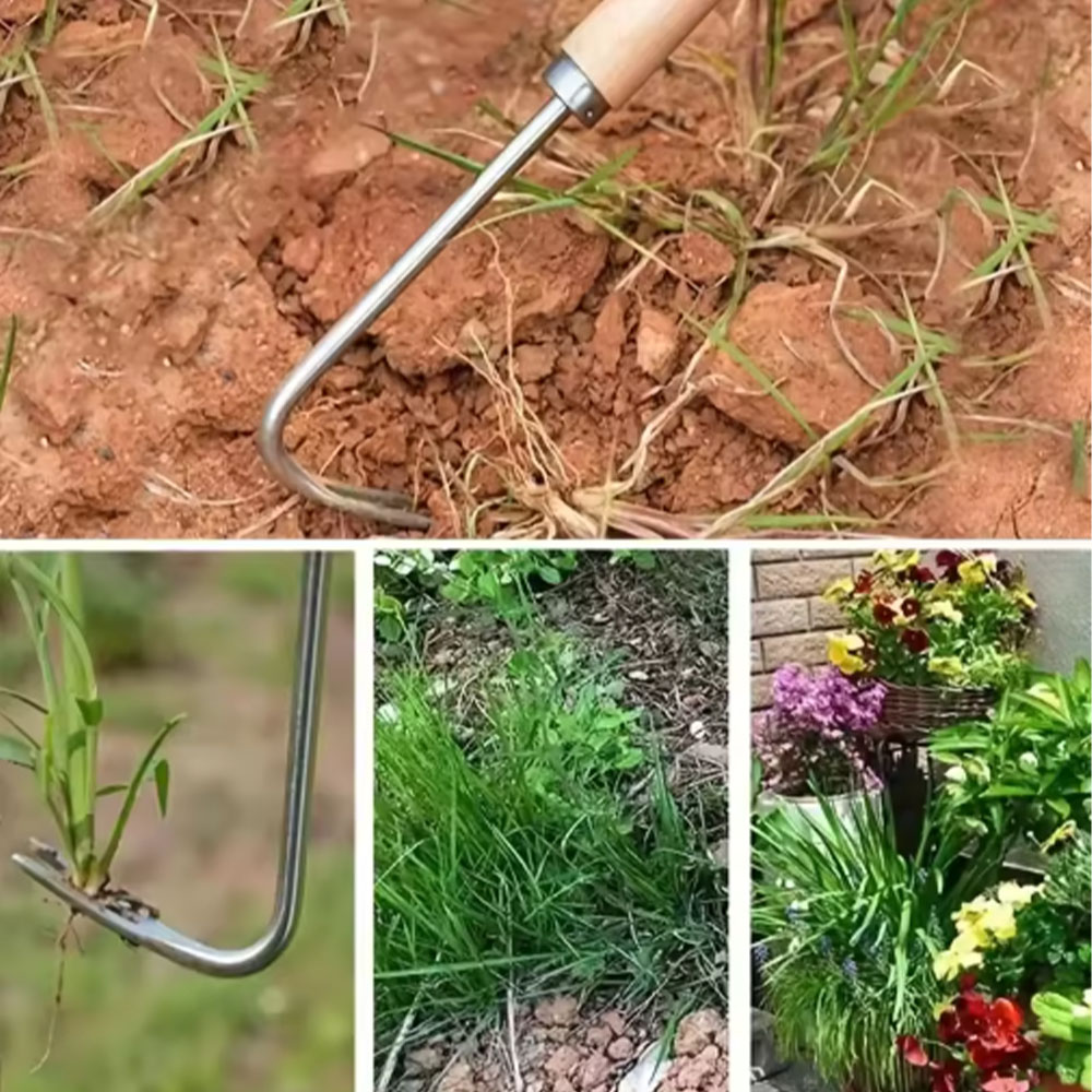 Stainless Steel Gap Weeding To - Gardening Hand Tools Yard reseña y precio