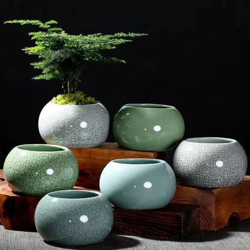 Creative Handmade Geyao Ice Cr - Orchid Potting Mix reseña y precio
