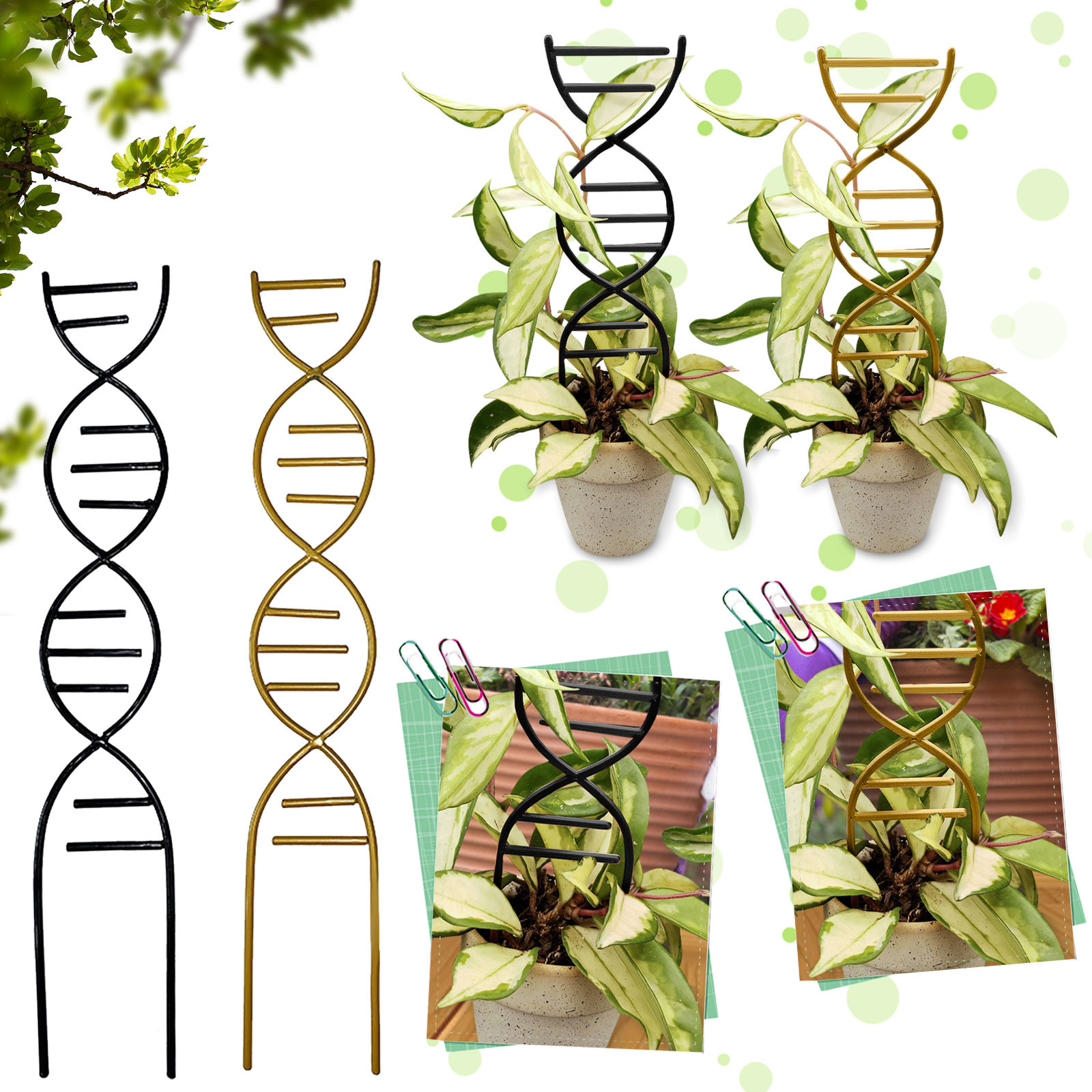 Plant Climbing Support Gardens - Gardening Tools And Uses reseña y precio