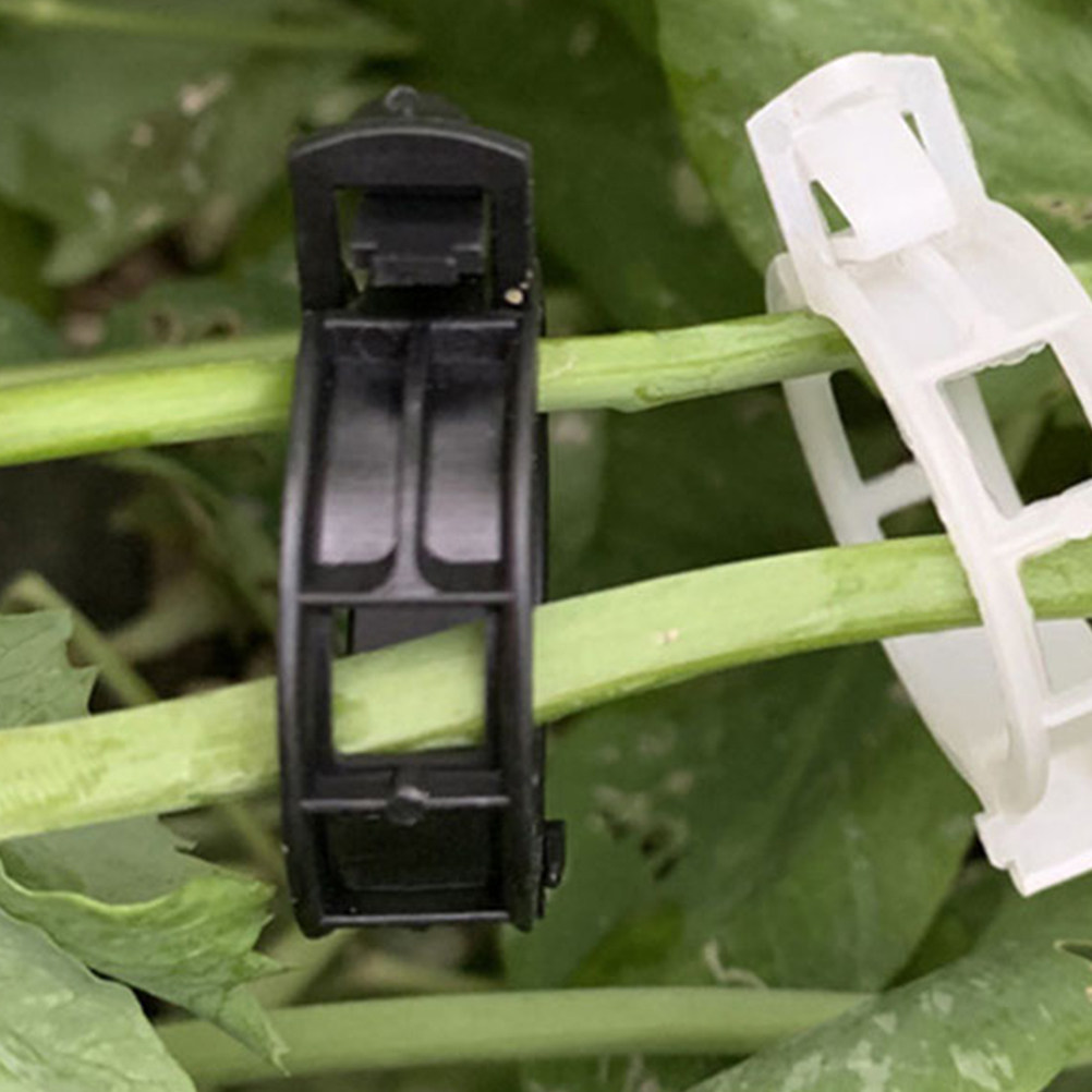 200Pcs Tomato Stem Support Cli - Plant Support Stake reseña y precio