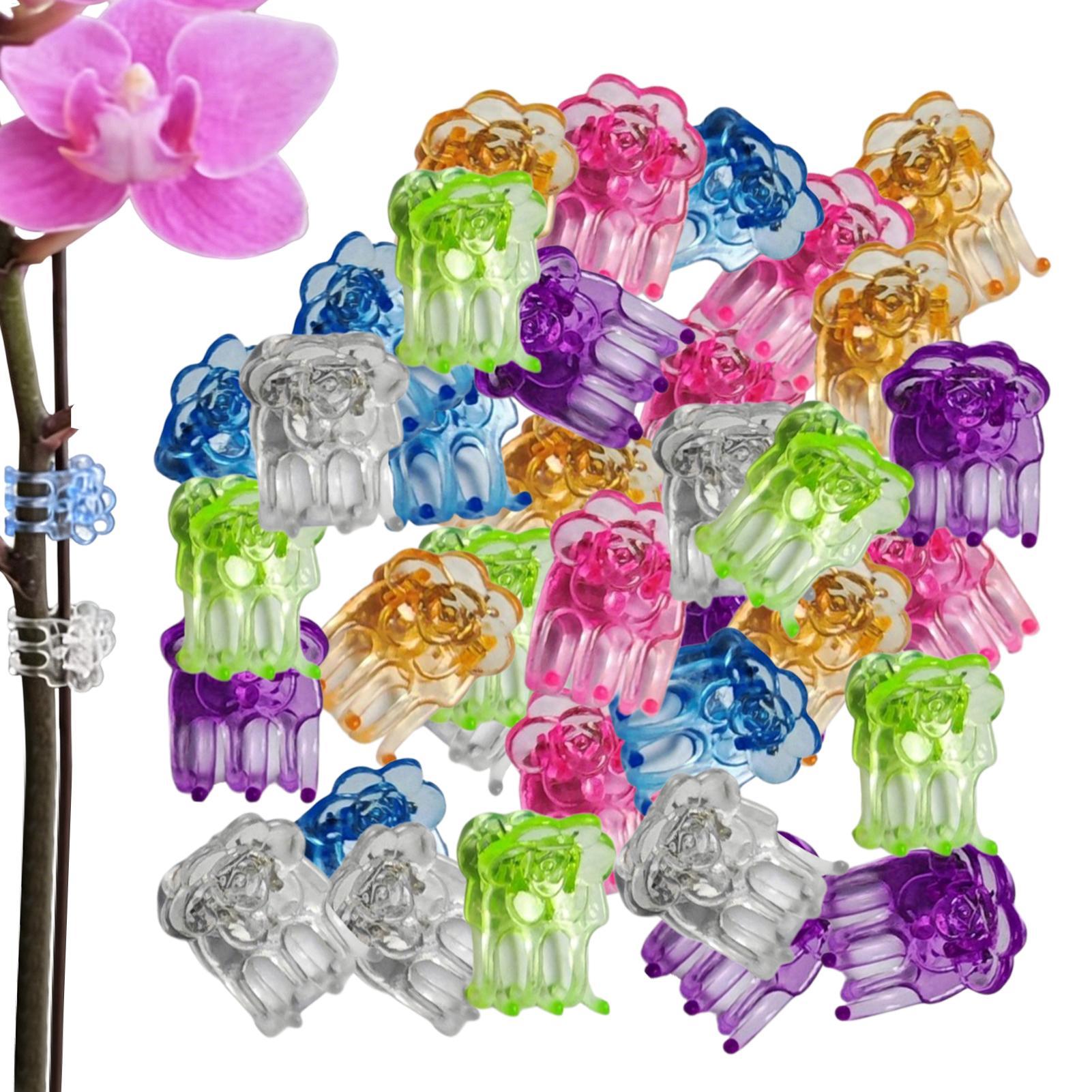 Orchid Clips 60 Pieces Butterf - Orchid Potting Mix reseña y precio