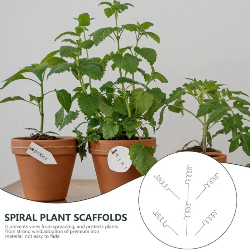 New Design 4Pcs 40cm Spiral Ga - Plant Support Stake reseña y precio