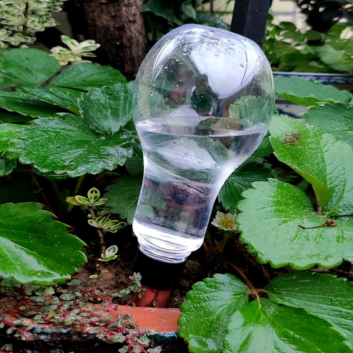 Garden Automatic Watering Tool - Gardening Tools For Home reseña y precio
