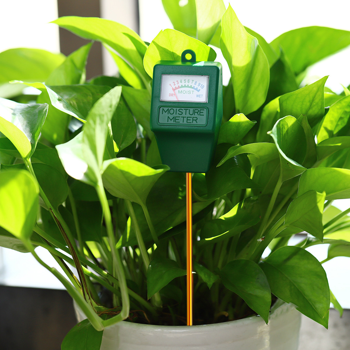 Soil Moisture Meter Precise Mo - Moisture Meter Plant reseña y precio