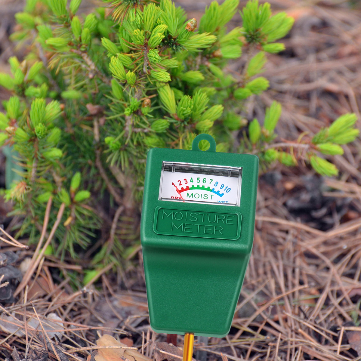 Soil Moisture Meter Precise Mo - Moisture Meter Plant reseña y precio