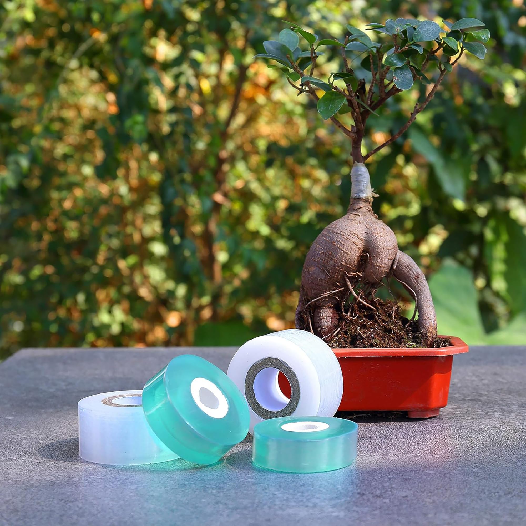 Easy Use Biodegradable Self Ad - Gardening Tools And Uses reseña y precio
