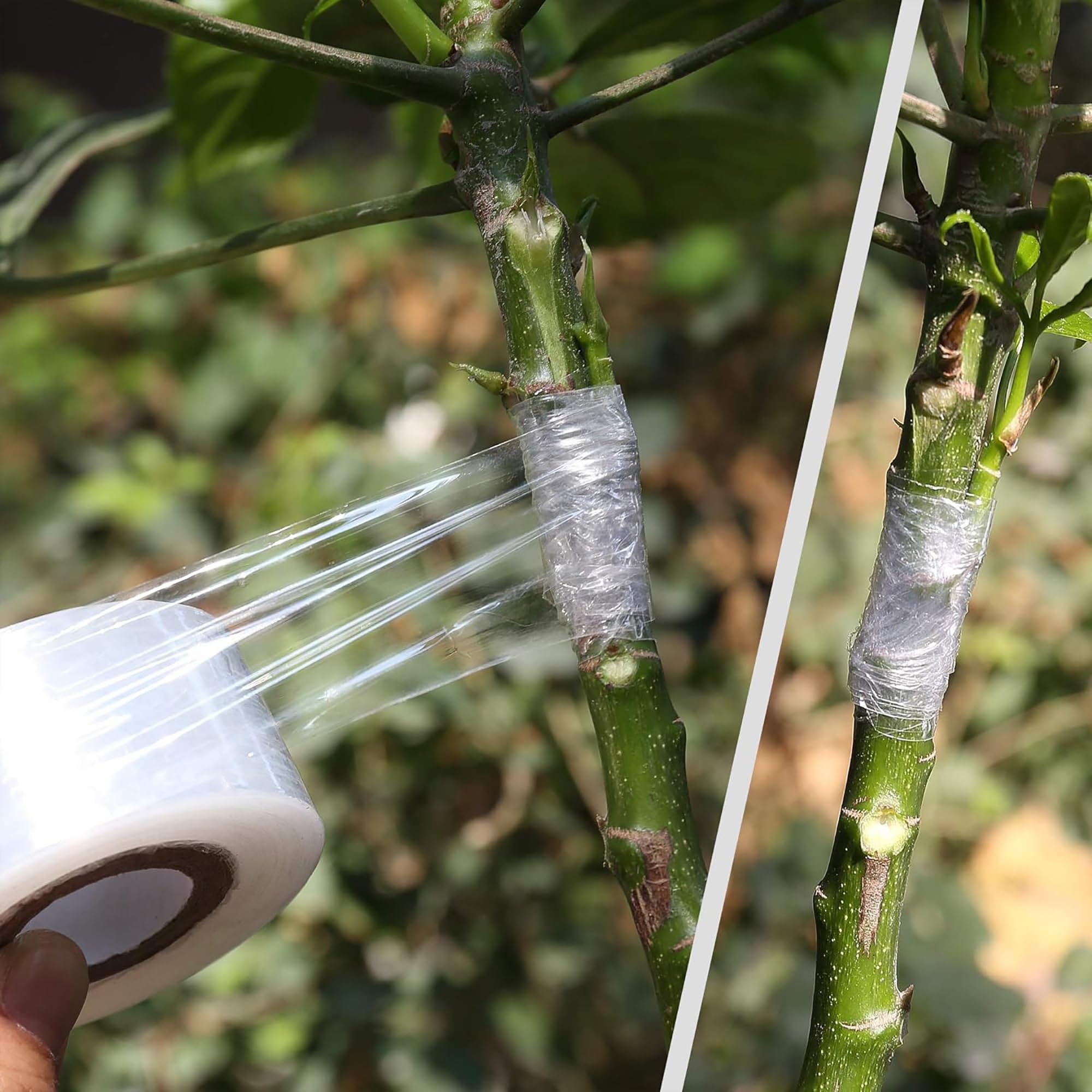 Easy Use Biodegradable Self Ad - Gardening Tools And Uses reseña y precio
