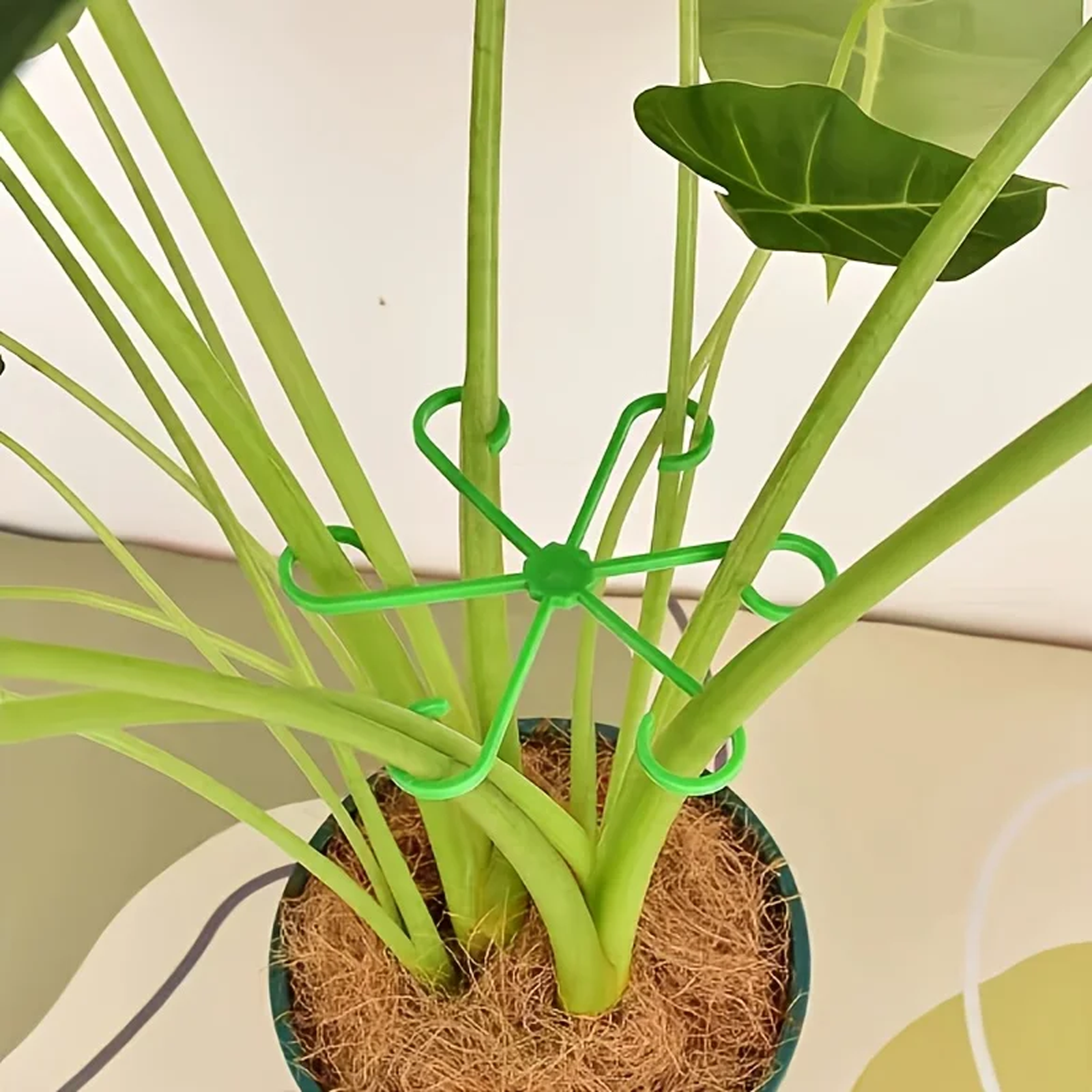 4pcs/set Plant Anti-Toppling S - Plant Support Stake reseña y precio