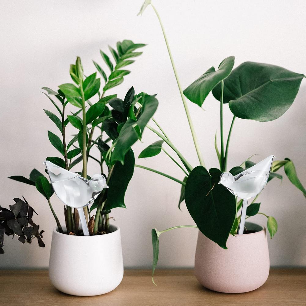 Automatic Plant Watering Bulbs - Gardening Tools For Home reseña y precio