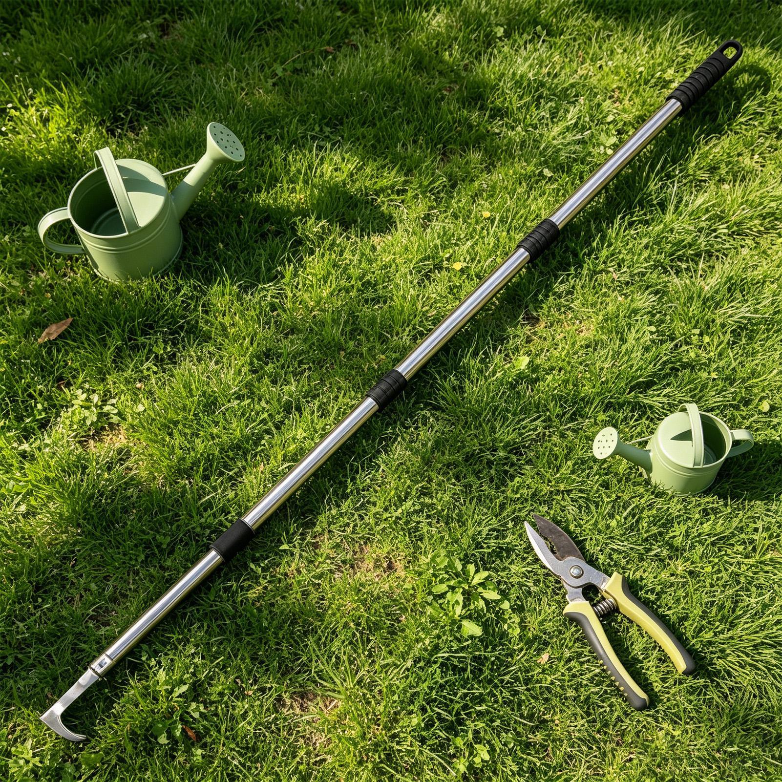 Crack Weeder Steel Long Handle - Gardening Hand Tools Yard reseña y precio