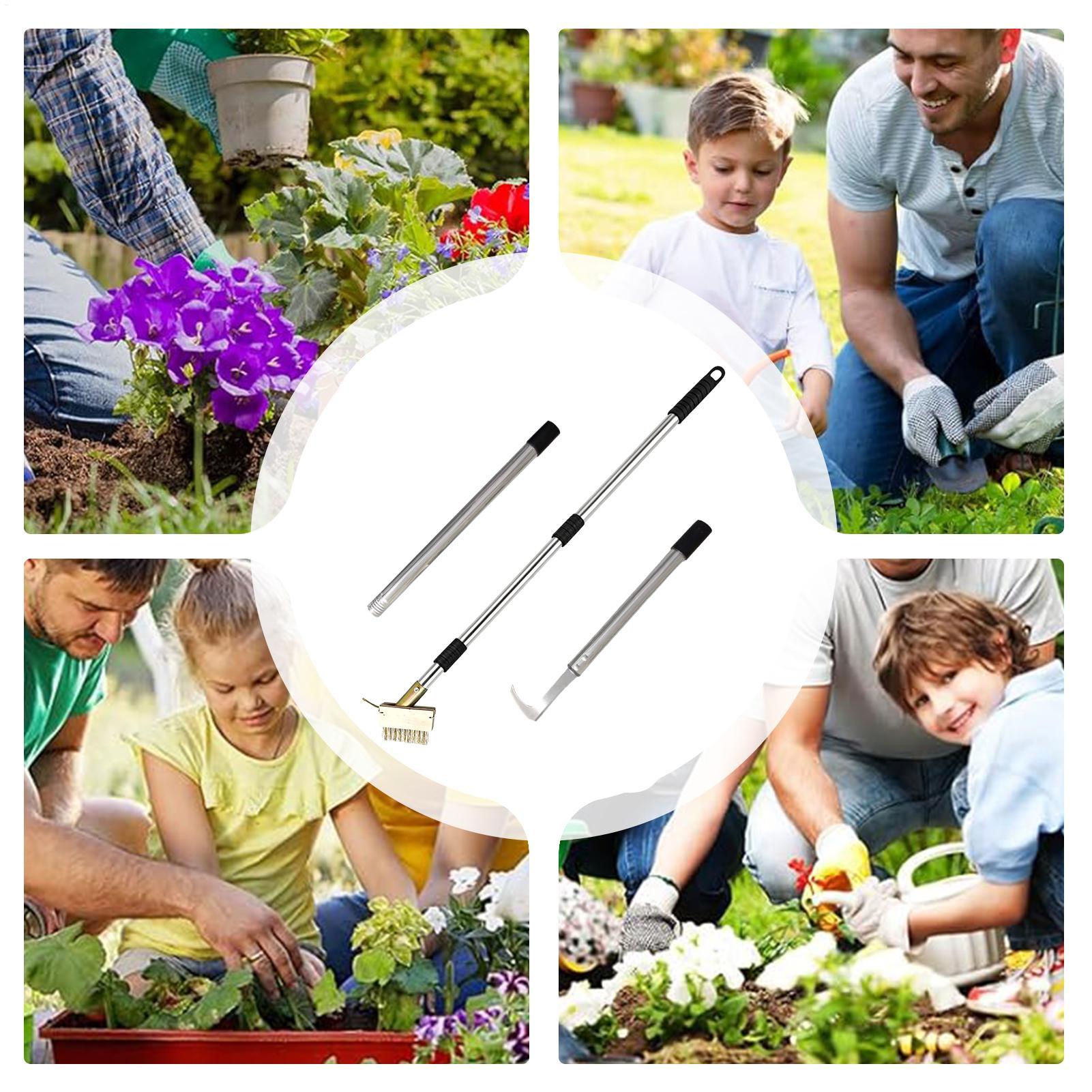 Crack Weeder Steel Long Handle - Gardening Hand Tools Yard reseña y precio