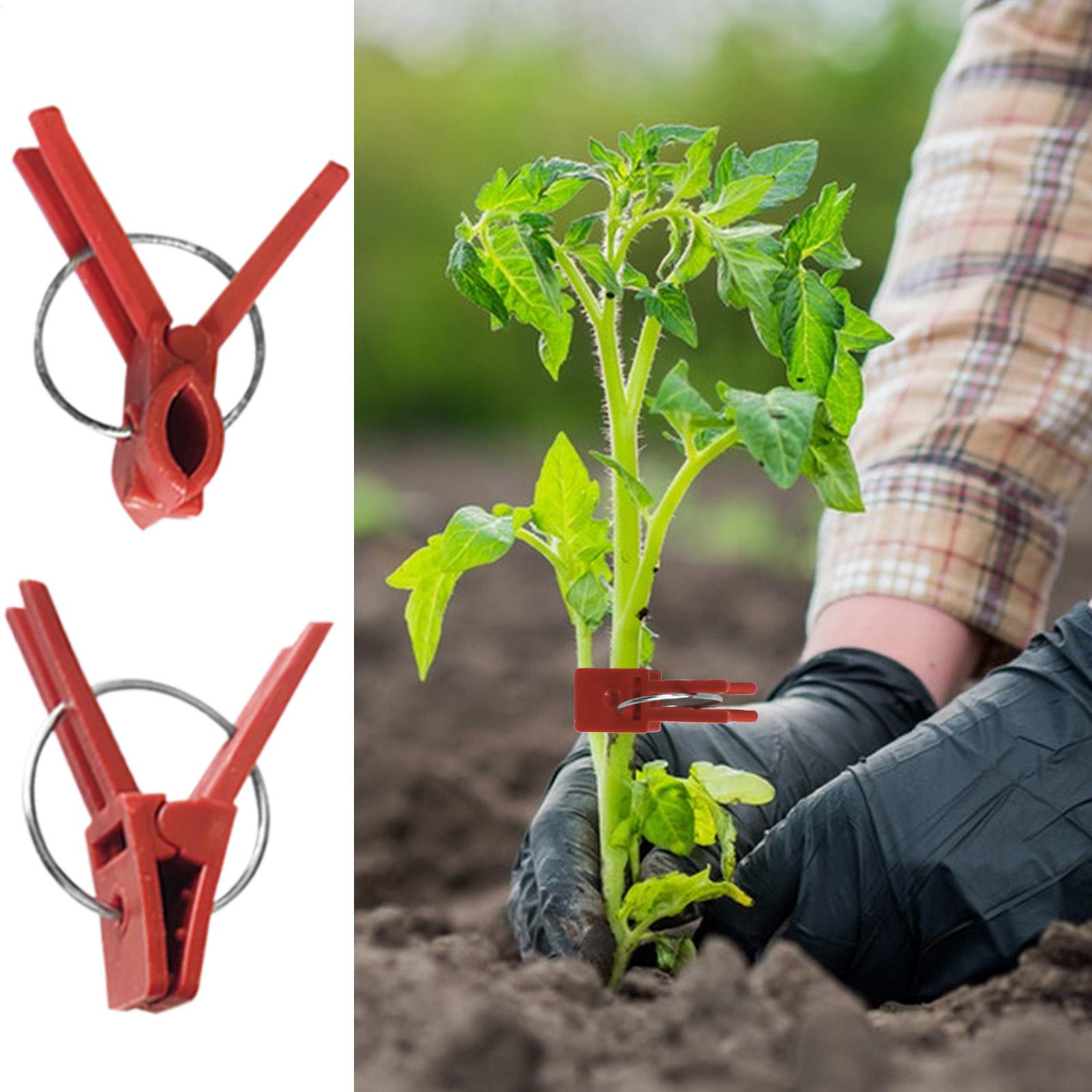 50Pcs Plant Grafting Clip Plas - Gardening Tools And Uses reseña y precio