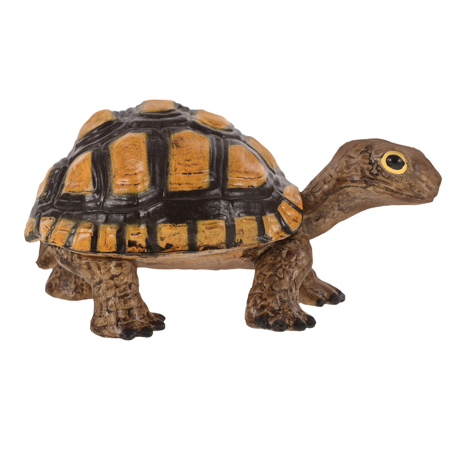 Realistic Wild Tortoise Educat - Gardening Tools For Kids reseña y precio