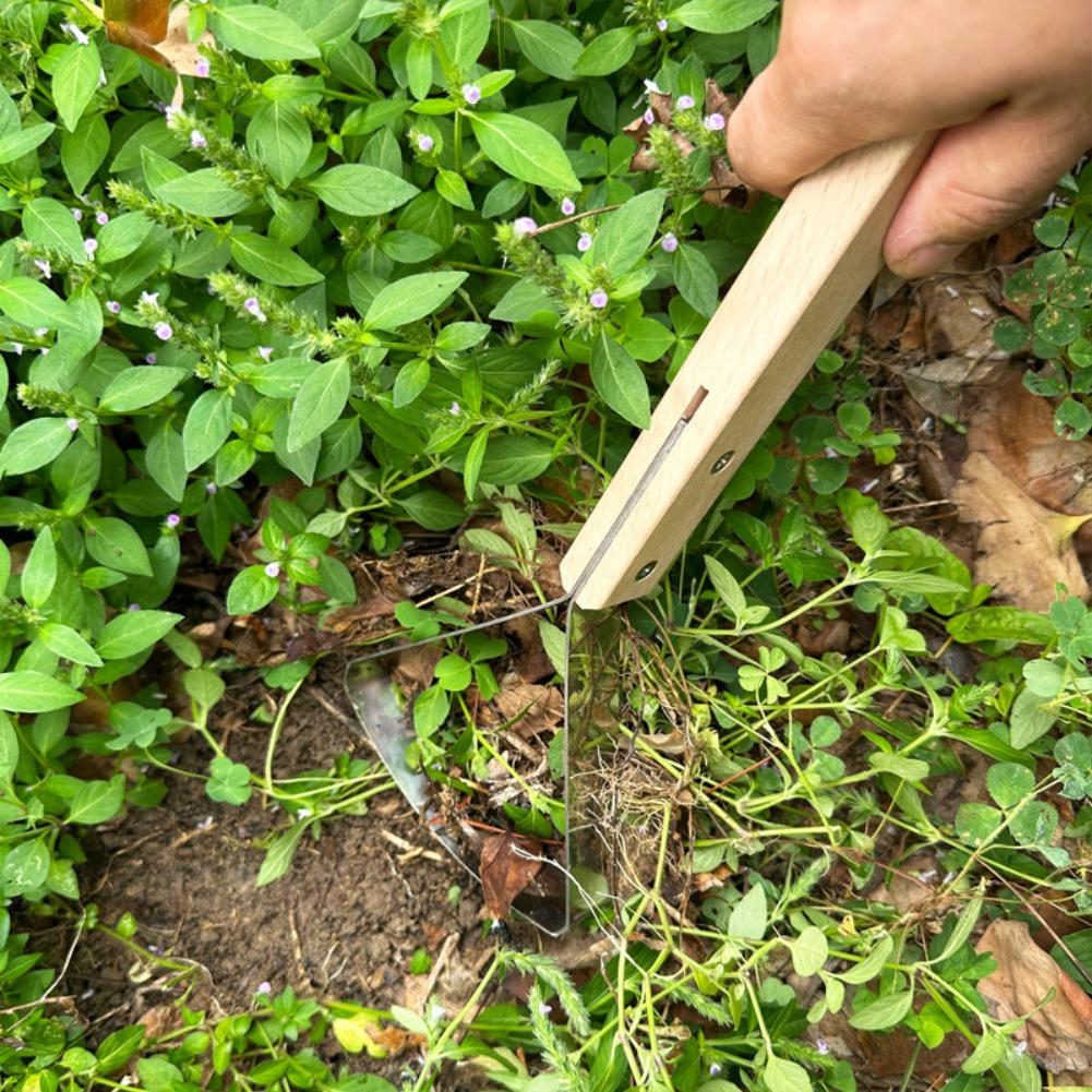 Grass Scraper Tool Manual Weed - Gardening Hand Tools Yard reseña y precio