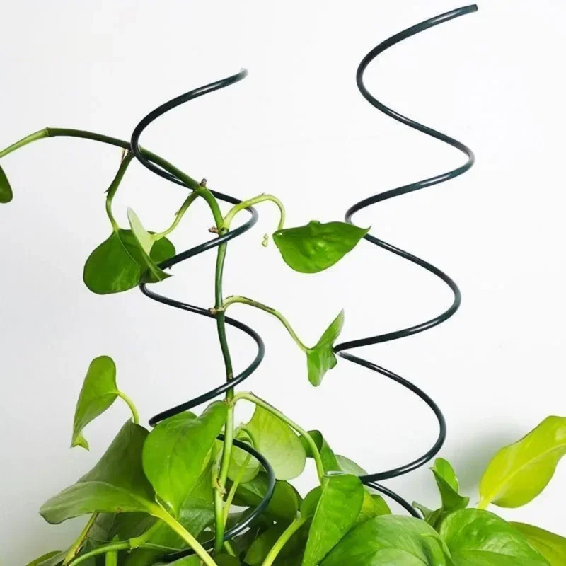 2026 New model Advanced A Top  - Plant Support Stake reseña y precio
