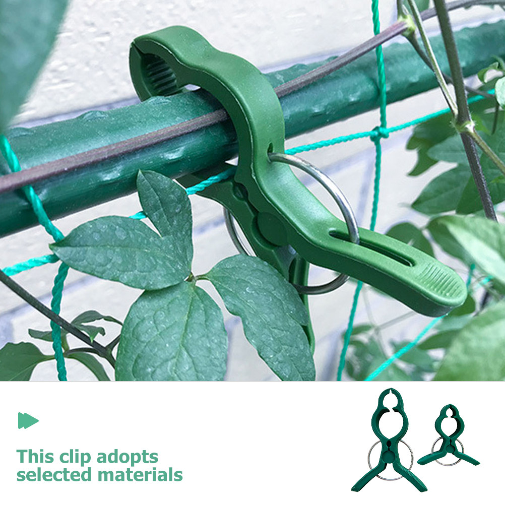 50Pcs Plant Support Clips Plas - Plant Support Stake reseña y precio