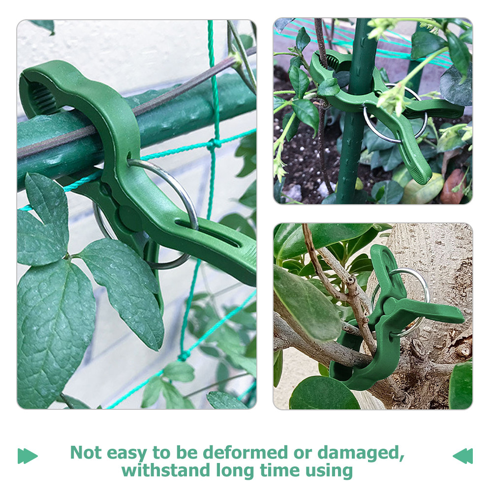 50Pcs Plant Support Clips Plas - Plant Support Stake reseña y precio