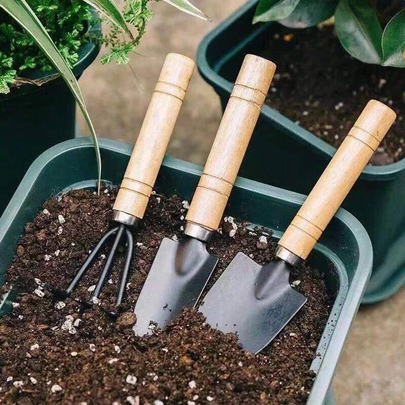 3PC/1Set Mini Gardening Tools  - Gardening Tools Spade reseña y precio