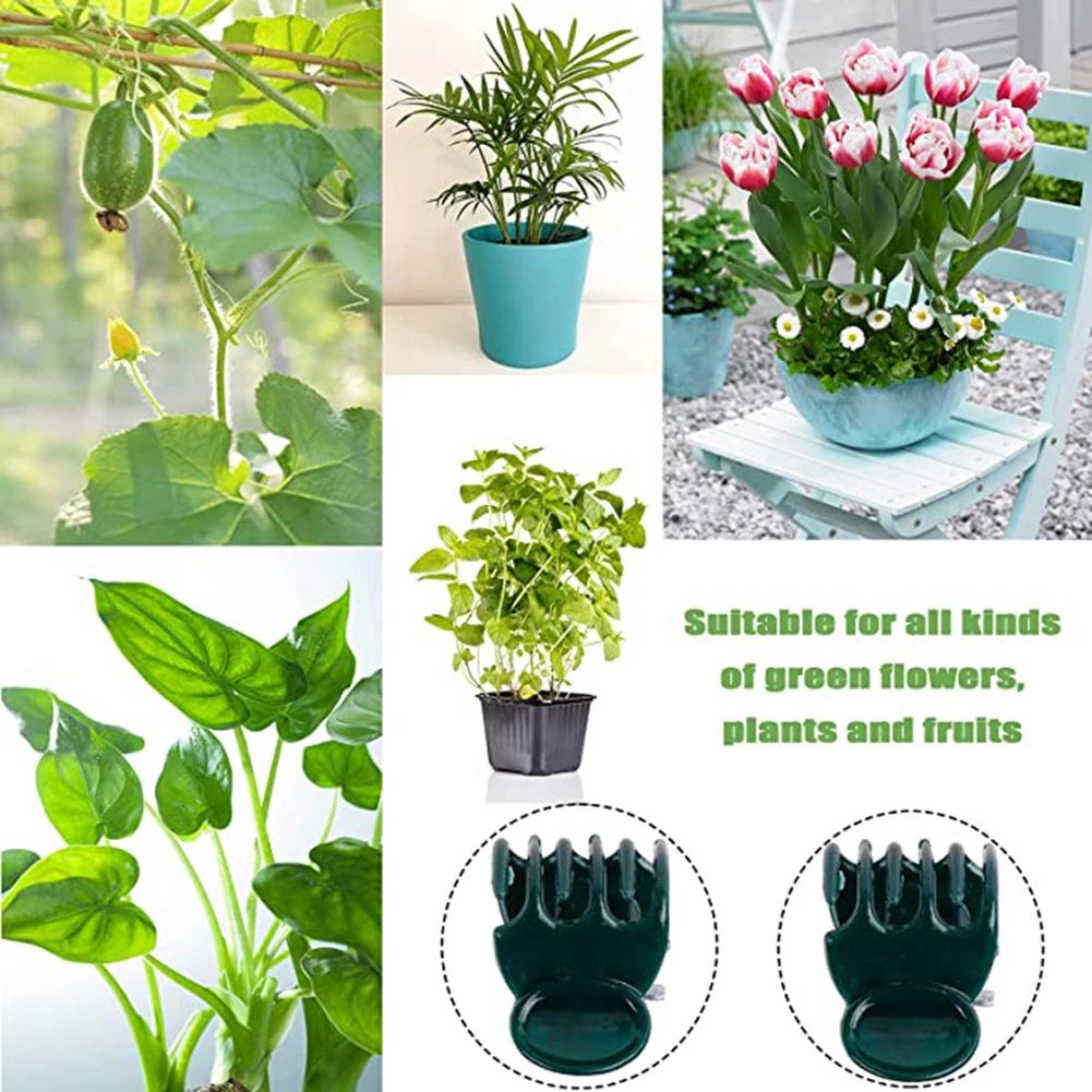 Phalaenopsis Orchid Support Cl - Plant Support Stake reseña y precio