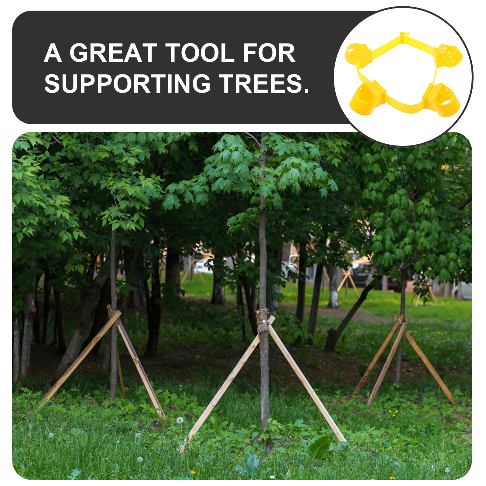 4Pcs Tree Stake and Support Sy - Plant Support Stake reseña y precio