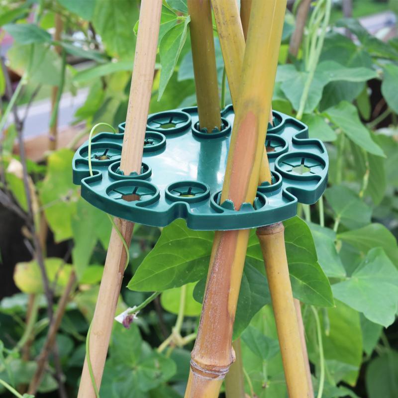 Garden Trellis Plastic Plant S - Plant Support Stake reseña y precio