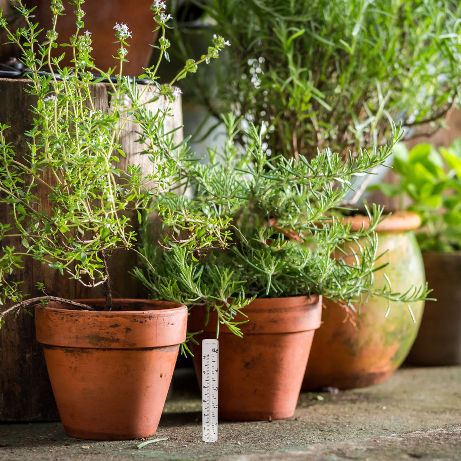 2Pcs Rain Gauge Replacement Tu - Gardening Tools And Uses reseña y precio
