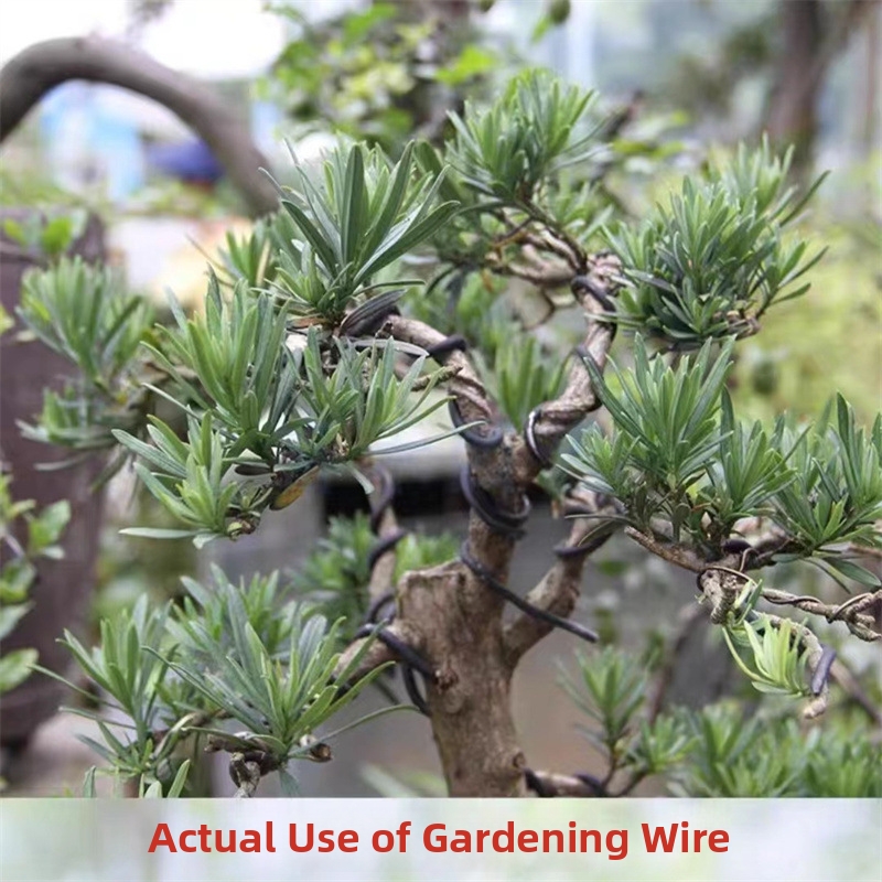 1.5MM Bonsai Wires Aluminum Bo - Gardening Tools For Home reseña y precio