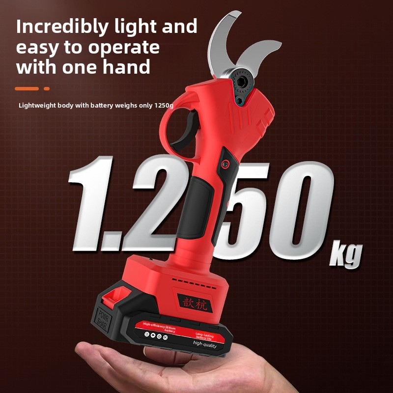 Rechargeable Lithium Battery E - Gardening Tools Spade reseña y precio