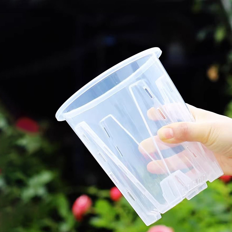 12cm for orchid Plant grow  Po - Orchid Potting Mix reseña y precio