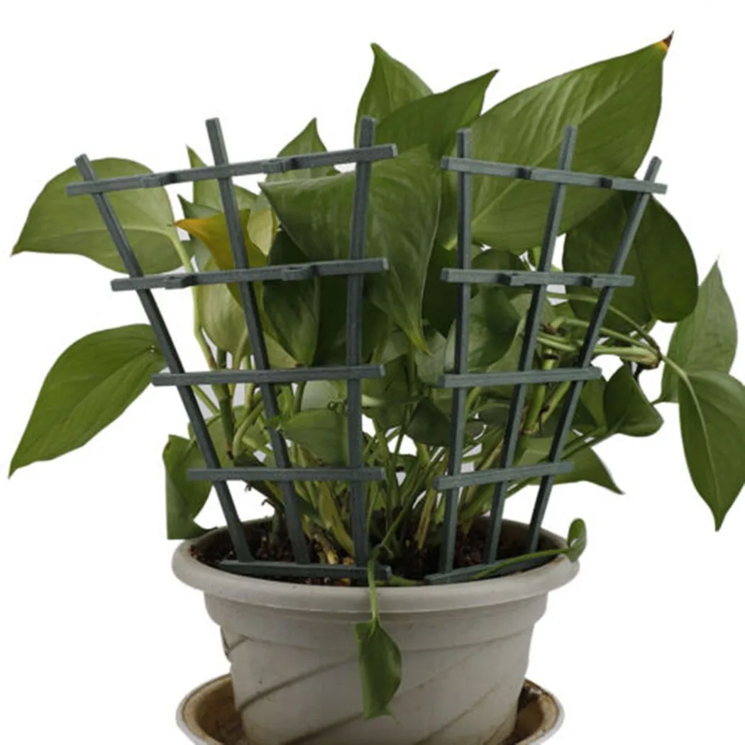Practical Hot New Plant Suppor - Plant Support Stake reseña y precio