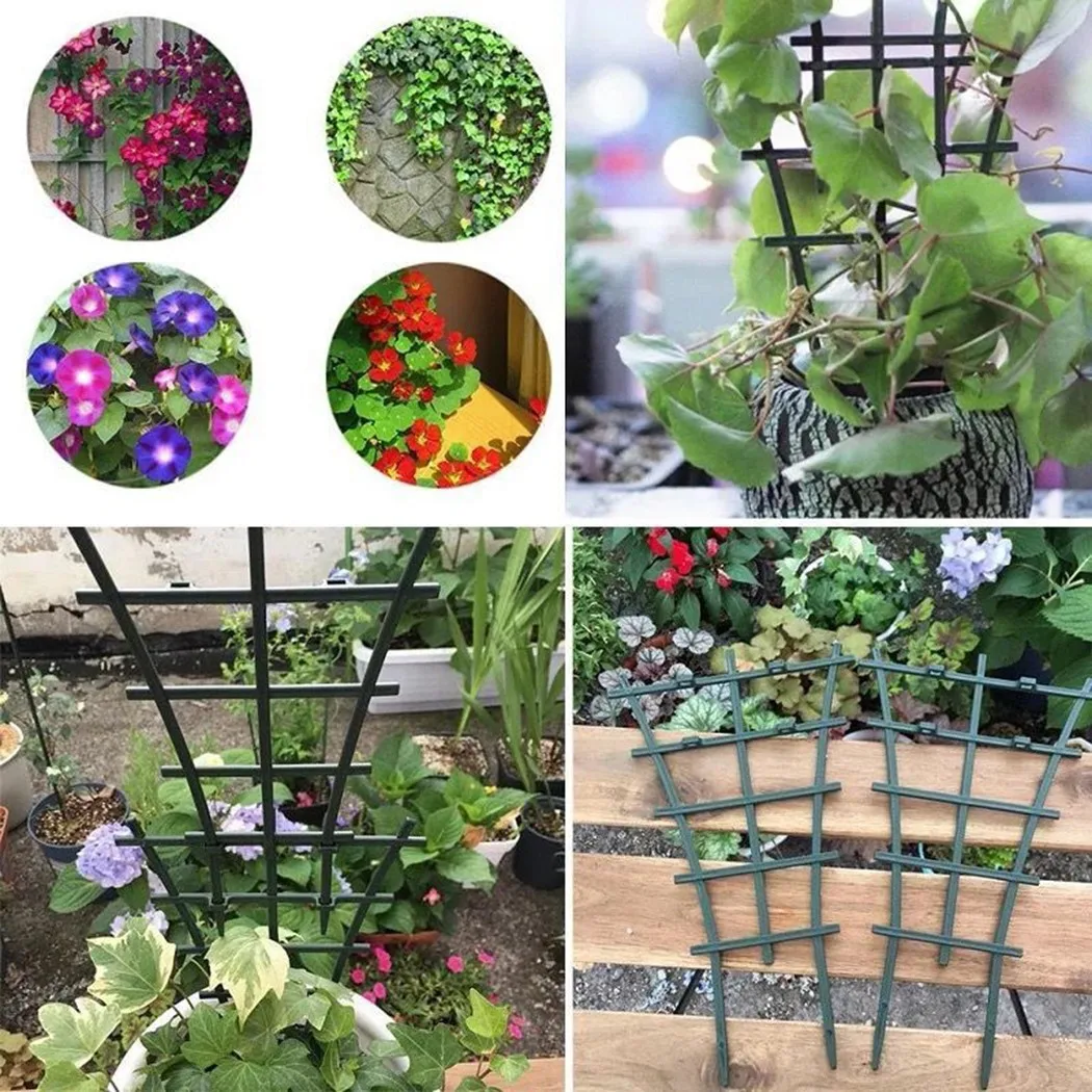 Practical Hot New Plant Suppor - Plant Support Stake reseña y precio