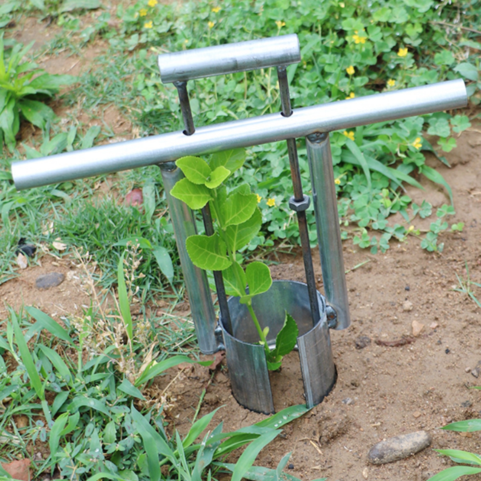 Handheld Tray Transplanter wit - Gardening Tools And Uses reseña y precio
