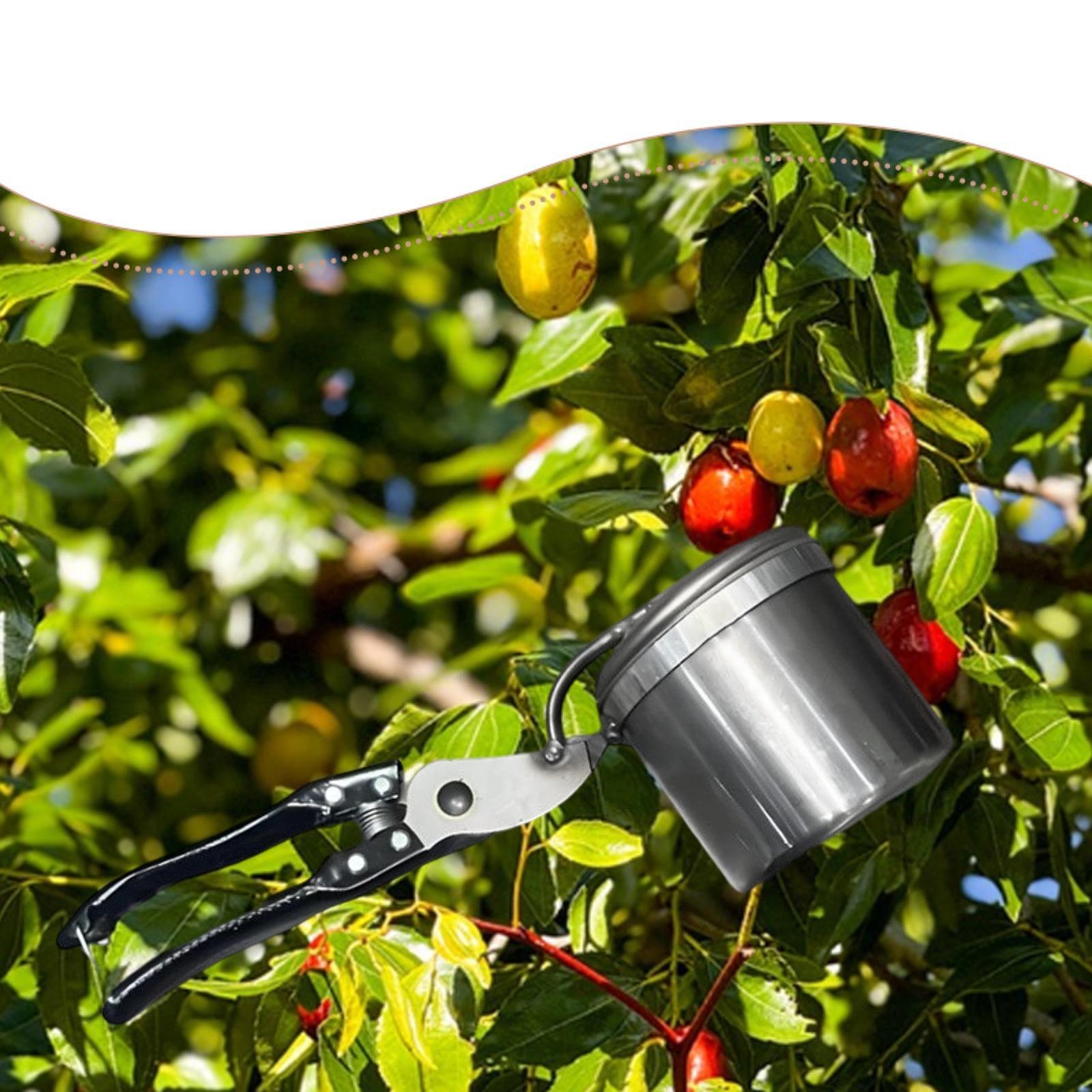 Fruit Picker, Easy to Use Port - Gardening Tools And Uses reseña y precio