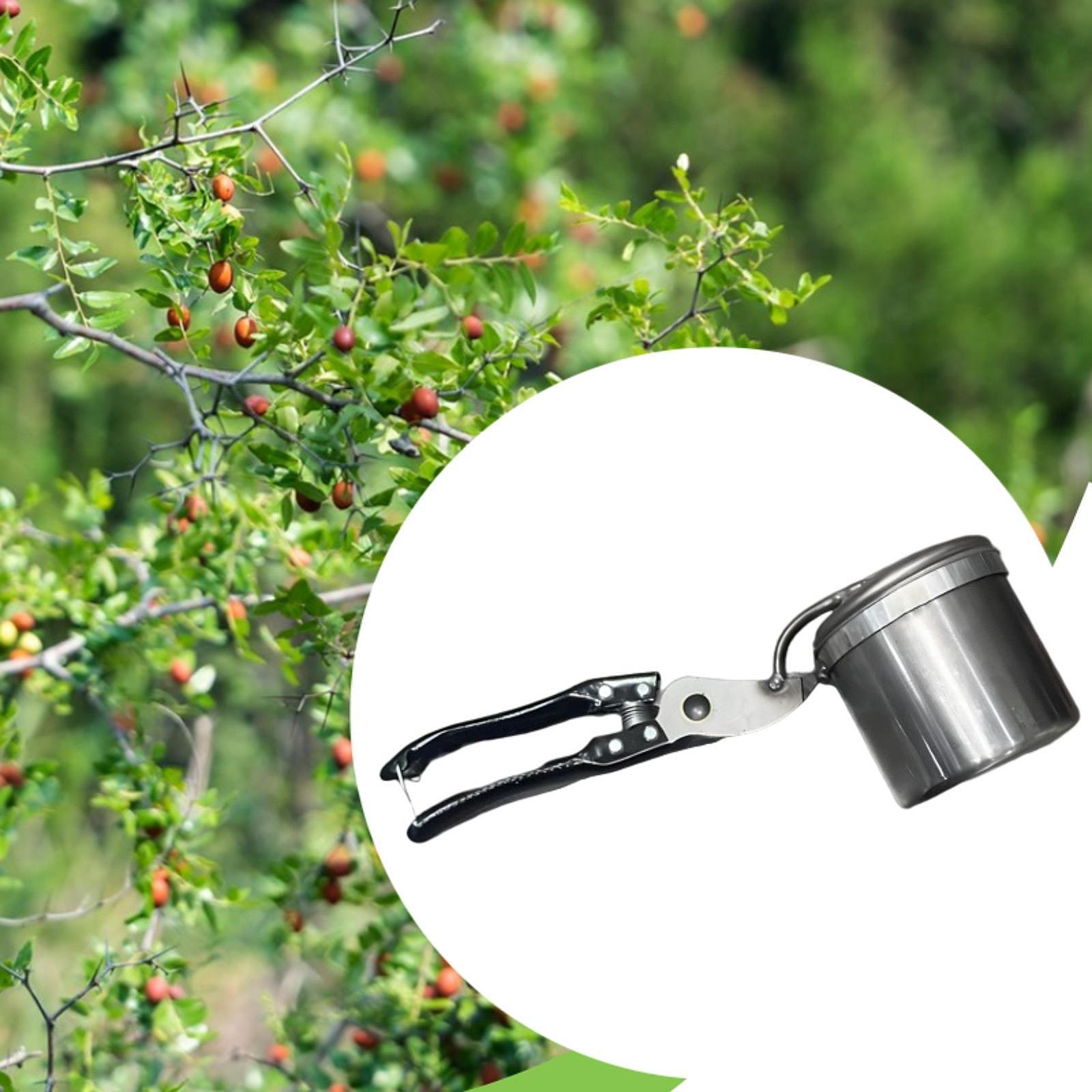 Fruit Picker, Easy to Use Port - Gardening Tools And Uses reseña y precio