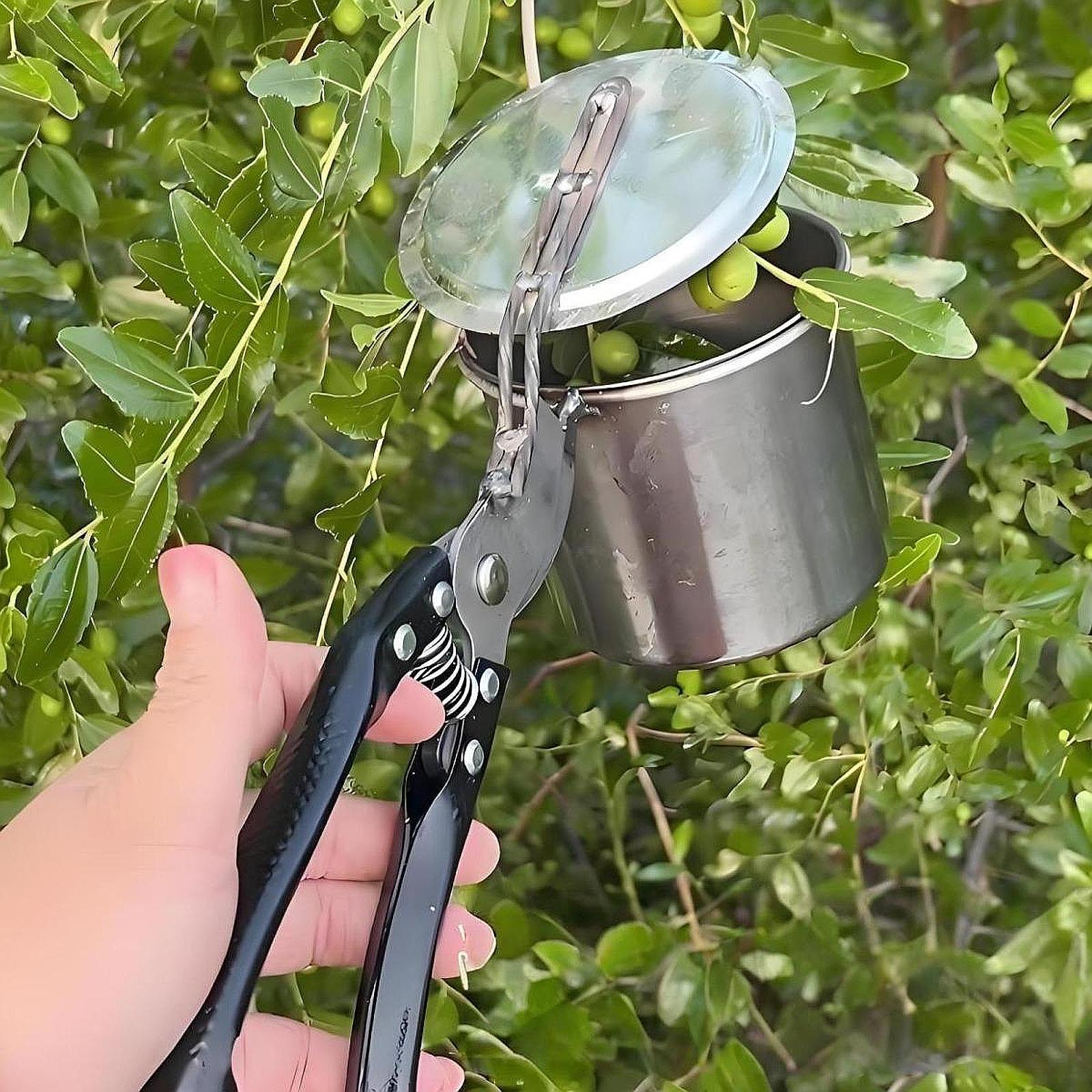 Fruit Picker, Easy to Use Port - Gardening Tools And Uses reseña y precio
