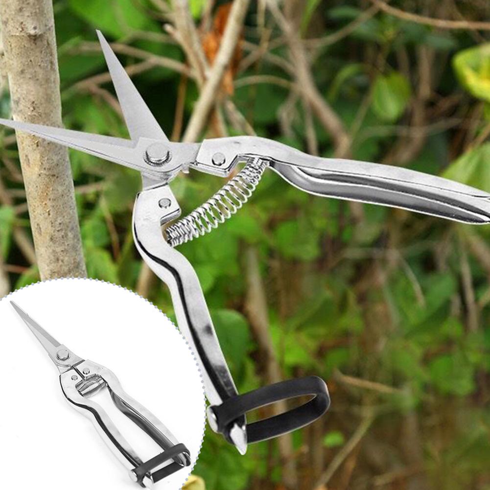 Pruner Pruning Shears Gardenin - Gardening Hand Tools Yard reseña y precio